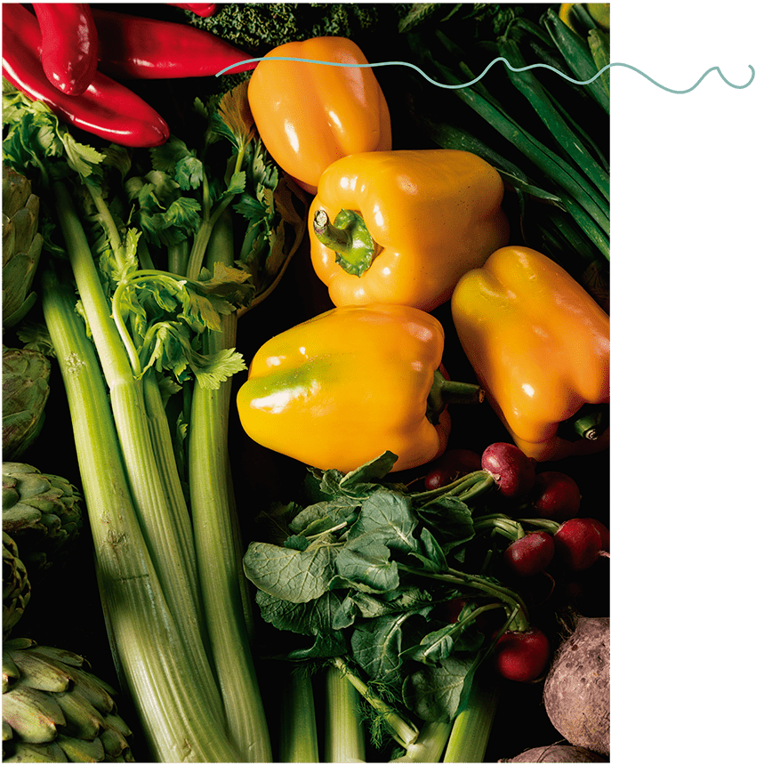 nutrición integrativa